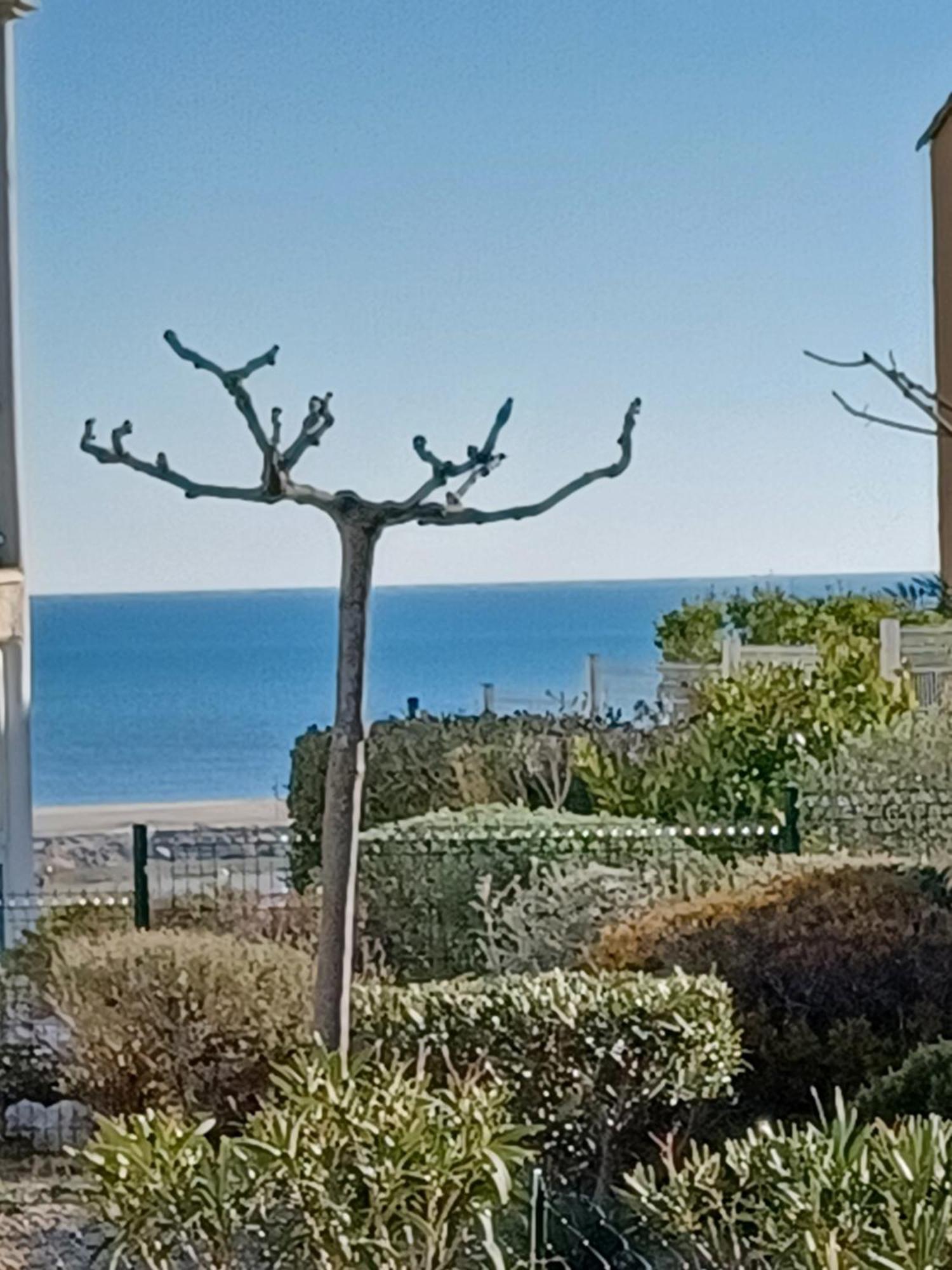 Plain-Pied Jardin 6 Personnes Clim Vue Mer Parking Wifi Terrasse Piscine Dans La Residence Saint-Pierre-la-Mer (Aude) Exterior foto